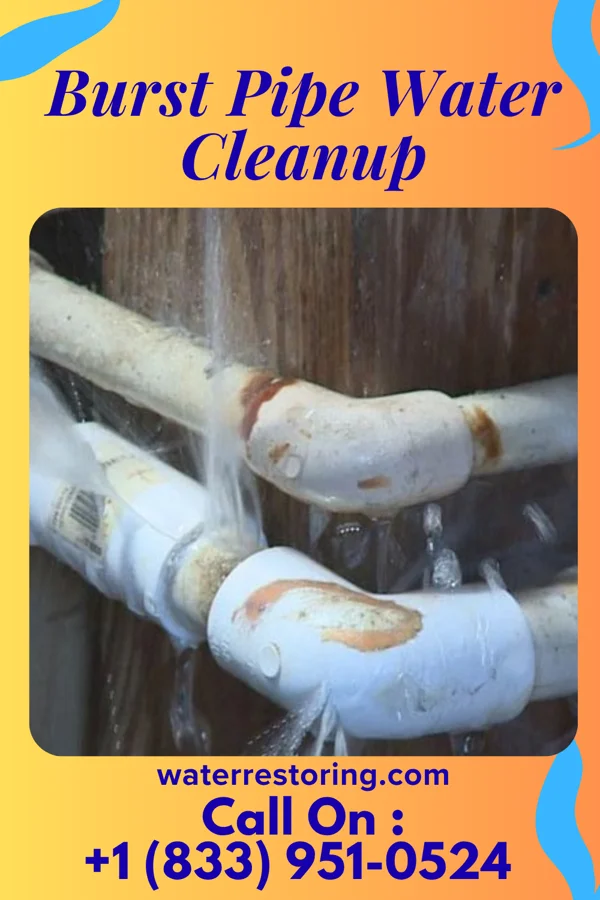 Burst Pipe Water Cleanup in Bridgeview, IL